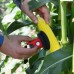 Портативный анализатор влажности кукурузы. SCiO Corn 1